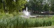 To miejsce w Warszawie czaruje. Kameralny park w zacisznej części miasta. Jest tu cicho, zielono i przytulnie