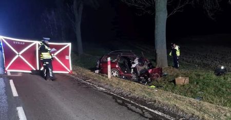 Makabra na drodze pod Lublinem. 23-latek rozbił się na drzewie