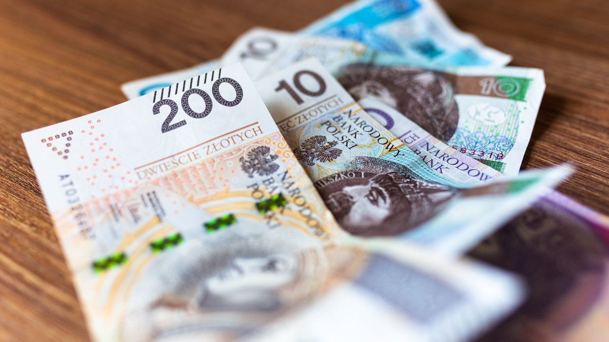 Stack of polish zloty banknotes
money, polish, zloty, rich, white, currency, background, bill, b