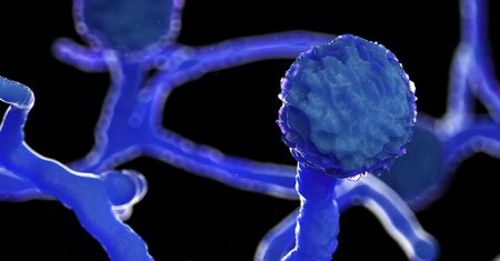 Atakuje ozdrowieńców. To już epidemia. Alarm w Indiach