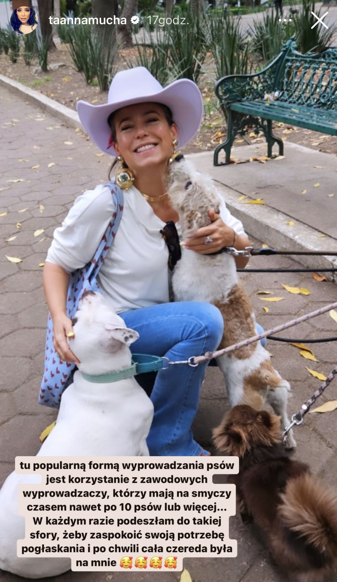 Anna Mucha zachwyca się psami