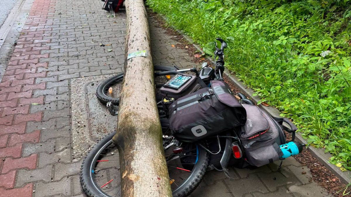 Drzewo przewróciło się na dwóch rowerzystów