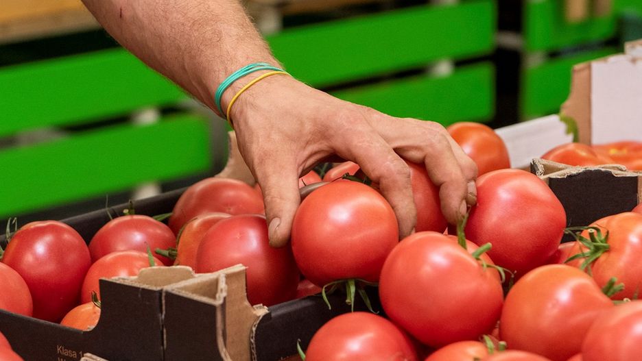 71 proc. badanych uważa, że w sklepach należy wprowadzić czasowy zakaz dotykania produktów świeżych, czyli pieczywa, warzyw i owoców.