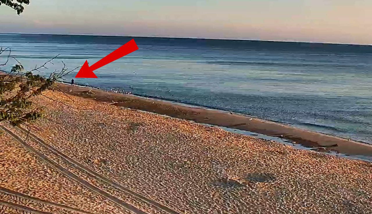 Kamera przyłapała go o 5:40. Ujęcie z plaży w Chłapowie