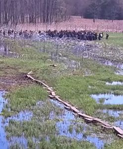 Ponad 200 osób. Szturm na granicy z Białorusią