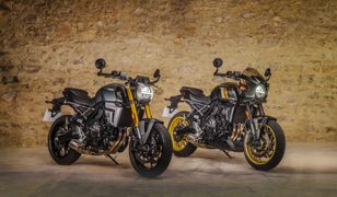 Suzuki wchodzi w klasyki. GSX-8T i GSX-8TT już jadą do salonów