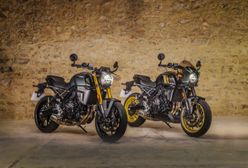 Suzuki wchodzi w klasyki. GSX-8T i GSX-8TT już jadą do salonów