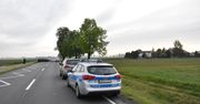 Wypadek koło Malborka. Kierowca zginął po uderzeniu w drzewo