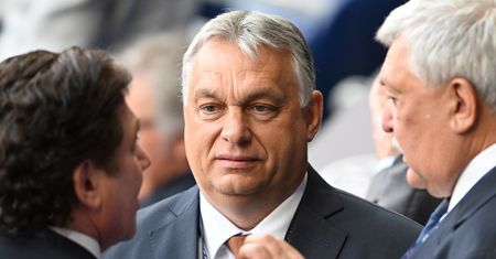 Pytanie o postawę Węgier wobec Rosji. Ekspert wzburzony