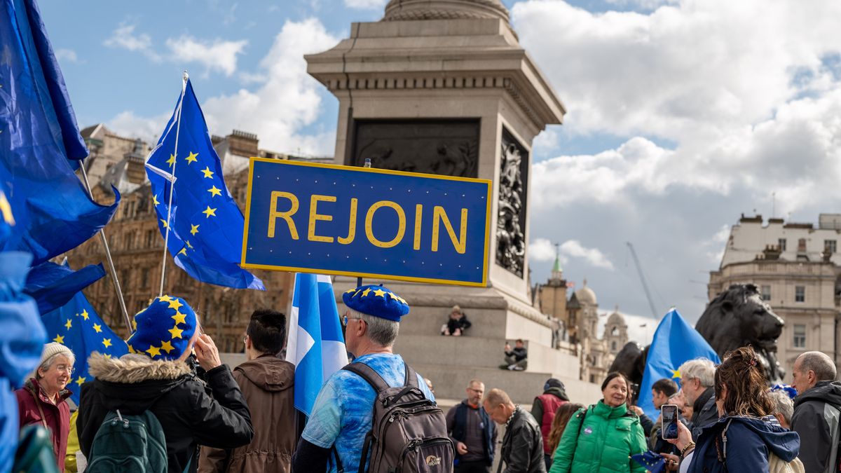 Activists hold  European flags and a placard saying REJOIN
LONDON, UNITED KINGDOM - 2023/03/25: Activists hold European flags and a placard saying REJOIN in Trafalgar Square during the demonstration. The National Rejoin March (NRM) demonstration took place in Central London. NRM is a direct action campaign group to get the UK to Rejoin the EU. (Photo by Pietro Recchia/SOPA Images/LightRocket via Getty Images)
SOPA Images
activists, european flags, flags, placards, national rejoin march, nrm, campaign group, rejoin, eu, demo, demonstration, rally, demonstrator, demonstrators, protester, protesters