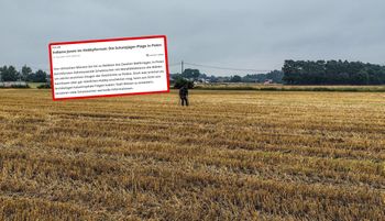 Niemcy piszą o pladze w Polsce. "Eksperci ostrzegają"