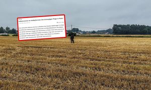 Niemcy piszą o pladze w Polsce. "Eksperci ostrzegają"