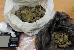 Śląskie. 23-letnia dilerka z Siemianowic. Narkotyki w sejfie i lodówce