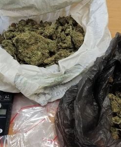 Śląskie. 23-letnia dilerka z Siemianowic. Narkotyki w sejfie i lodówce