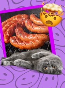 Mięso z kota od "Kociego smakosza" to coś więcej niż posiłek