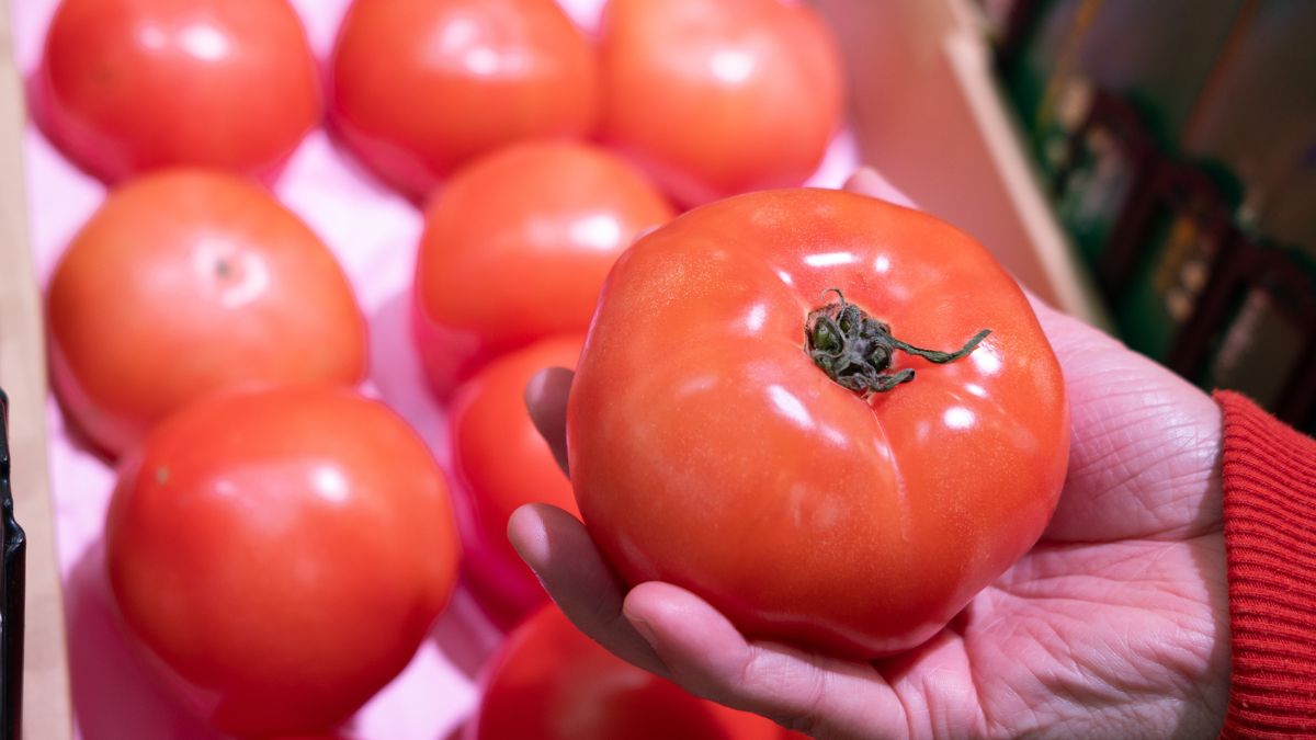 Kupowanie pomidorów jest łatwiejsze niż myślisz