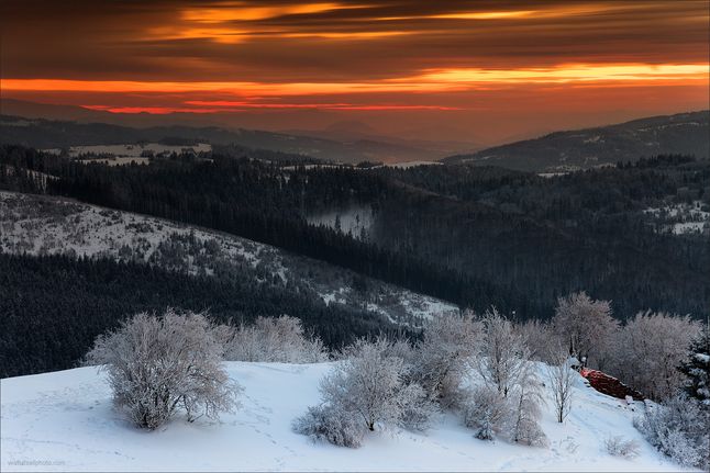 © Wojciech Wandzel