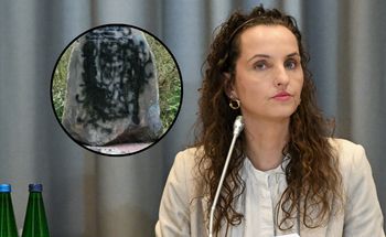 Pomnik UPA w Polsce zniszczony. MSWiA: Świadkowie są przesłuchiwani