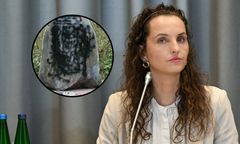 Pomnik UPA w Polsce zniszczony. MSWiA: Świadkowie są przesłuchiwani