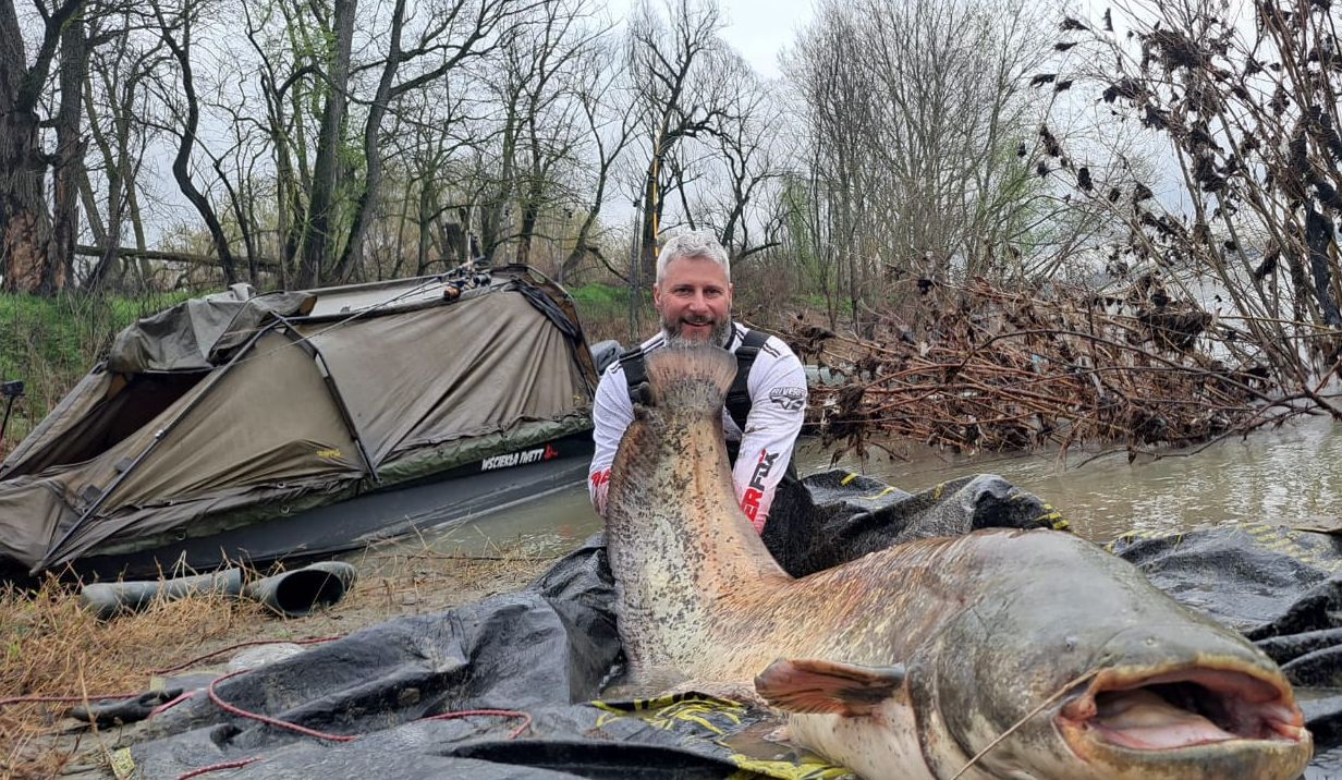 Sum gigant o długości 245 cm