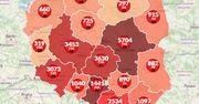 Koronawirus w Polsce. 279 nowych zarażeń. Ponad 600 tys. zgonów na świecie [Mapa zarażeń]