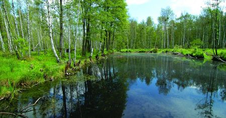 Kampinos. Szlaki. U bram Puszczy