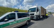 KAS udaremniła przemyt suszu tytoniowego wartego ponad 9 mln zł