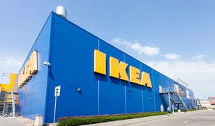 IKEA wycofuje partię mrożonych klopsików warzywnych
