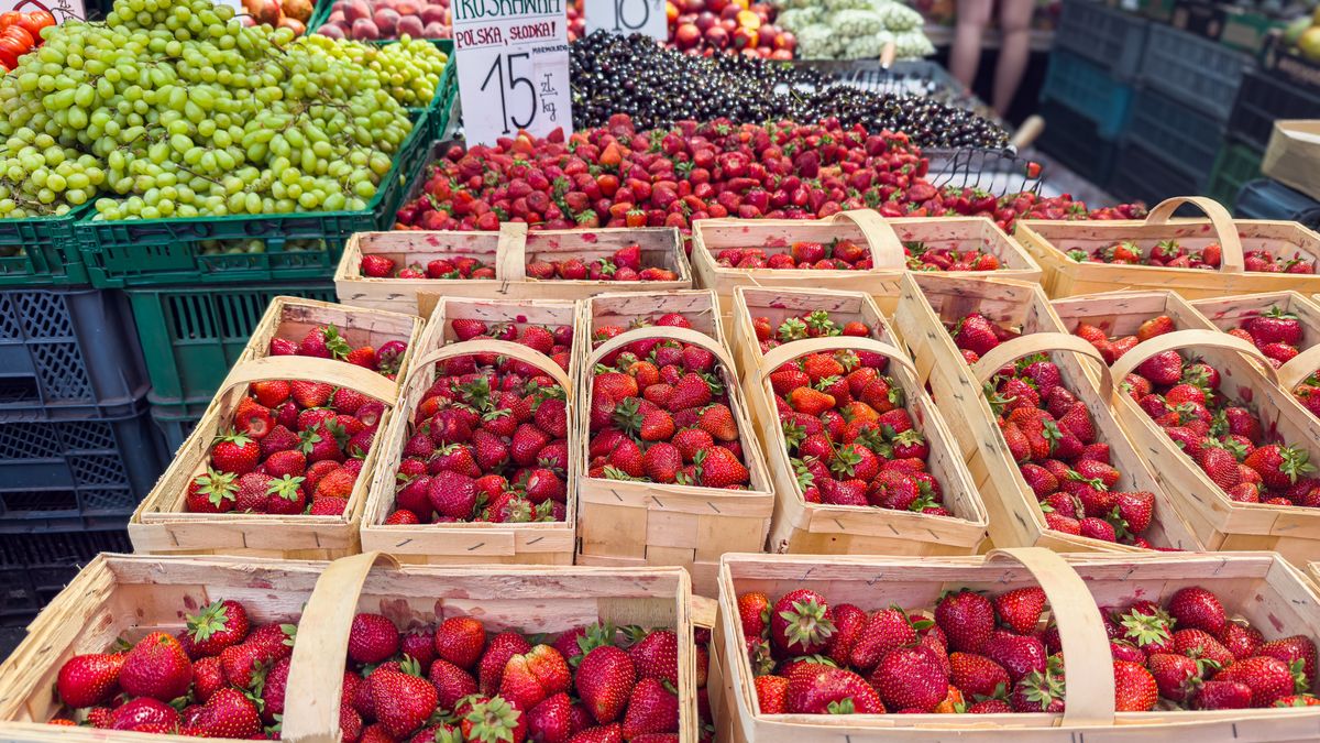 Jak wybrać najlepsze truskawki?