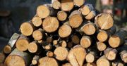 Ile kosztuje drewno? Ceny w sklepach i hurtowniach