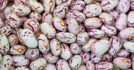Amerykanie ją kochają. Reguluje ciśnienie, obniża cholesterol