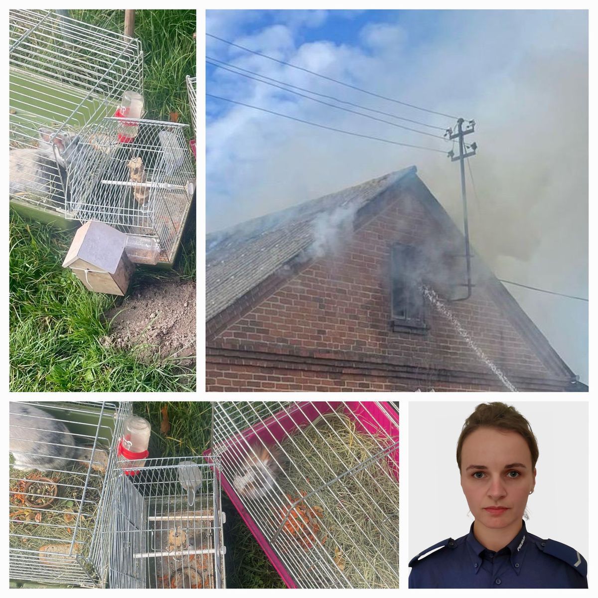 Kaznów-Kolonia: Policjantka uratowała zwierzęta z płonącego domu