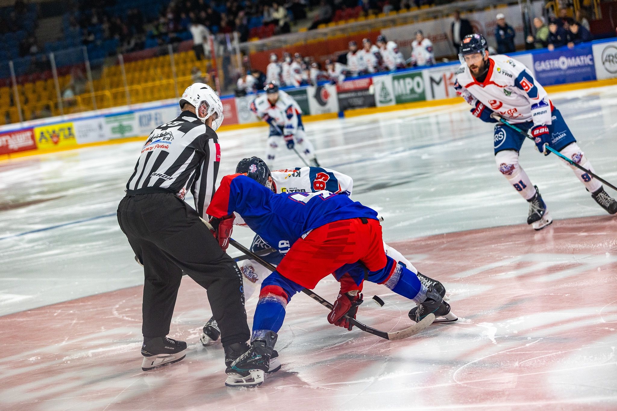 KH Energa Toruń - Polonia Bytom