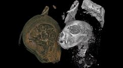 Mumie zwierząt w Egipcie. Zaskakujące odkrycie po prześwietleniu zabalsamowanych ciał