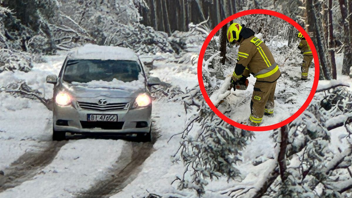 Działania strażaków w Łebie