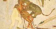 Archeologiczna sensacja. Szkielet gladiatora ze śladami po zębach lwa