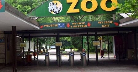 Groźny wirus w poznańskim zoo. Zamkną ogród?