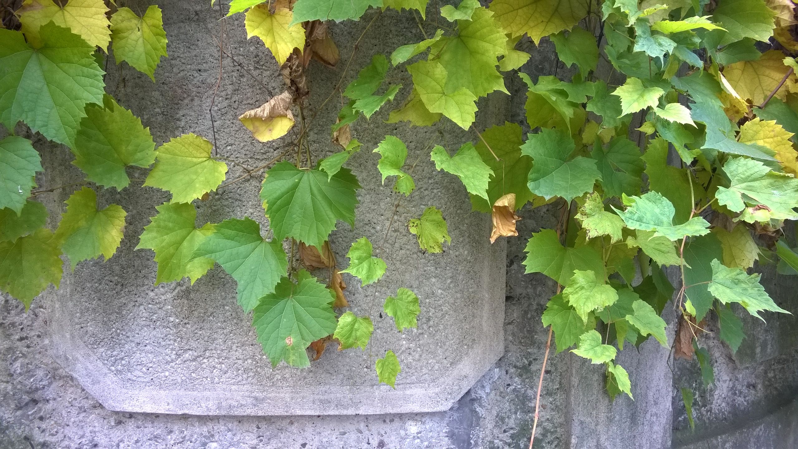 Nokia Lumia 830 - przykładowe zdjęcia 2