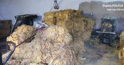 Dąbrowa Górnicza. 1,5 tony nielegalnego tytoniu w rękach policji