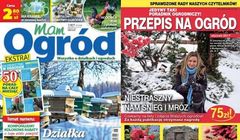 „Działkowiec” na czele sprzedaży miesięczników o ogrodnictwie po trzech kwartałach. „Mam Ogród” wyprzedził „Przepis na Ogród”