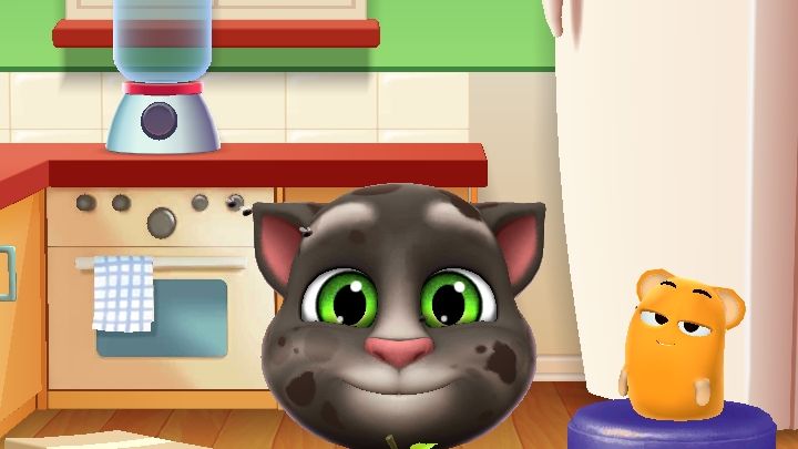 My Talking Tom 2 8