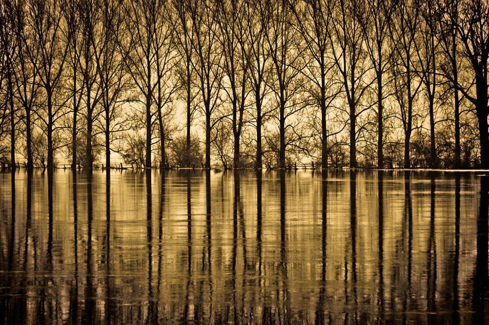 Warta River © Krzysztof Grygiel / Polska