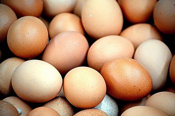 Salmonella w jajach. Ponad 300 zakażeń w Belgii, skażone produkty trafiły także do Polski