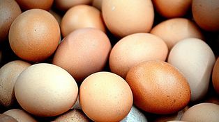 Salmonella w jajach. Ponad 300 zakażeń w Belgii, skażone produkty trafiły także do Polski
