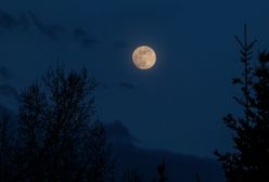Pełnia Koźlego Księżyca. Już wkrótce pojawi się na nocnym niebie