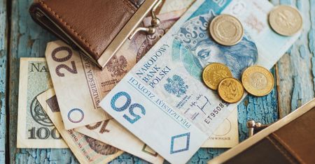 Banknot 50 zł warty 27 tys. zł. Kluczowy jest jeden numer