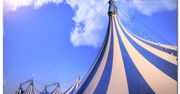 Niedźwiedź zaatakował treserkę w cyrku. Wszystko widziały dzieci