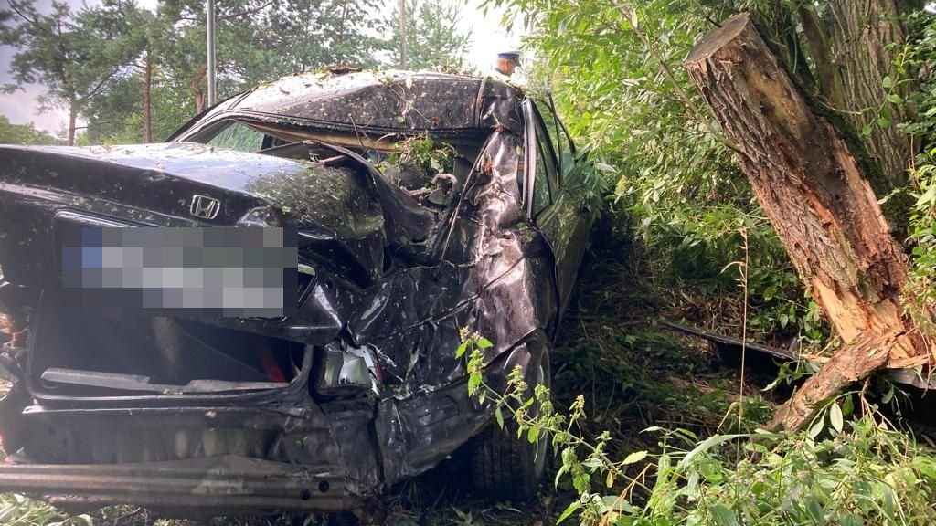 Samochód z impetem uderzył w przydrożne drzewo