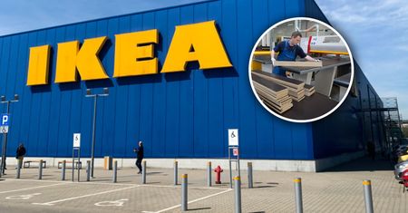 Ikea kupuje lasy nad Bałtykiem. Gigantyczna transakcja