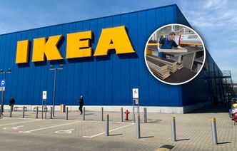 Ikea kupuje lasy nad Bałtykiem. Gigantyczna transakcja